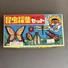 2026年最新】昆虫標本の人気アイテム - メルカリ