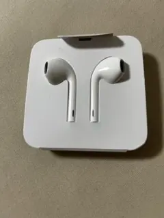 新品　Apple イヤホン　Lightning コネクター
