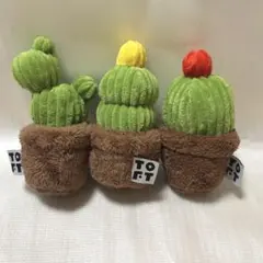 TOFT トフト　サボテン　ぬいぐるみ　点セット TOFT トフト サボテン ぬいぐるみ 点セット - メルカリ