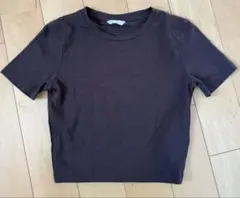 zara ブラウン クロップドTシャツ Sサイズ