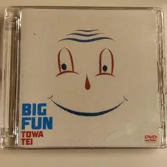 【美品】テイ・トウワ TOWA TEI BIG FUN CD DVD