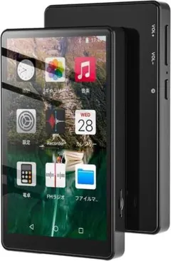 46時間連続再生確認 SONY NW-A37 64GB ウォークマン Aシリーズ - メルカリ