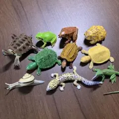 海洋堂　カメ、カエル、トカゲ フィギュアセット 10体