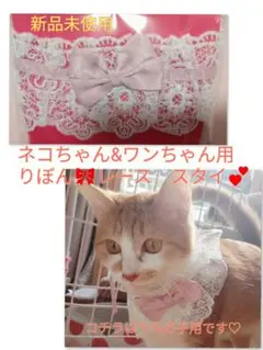 Item thumbnail for item dd17d98a-f670-4e6e-a1b3-f3972d0f43df