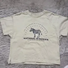 Samansa Mos2 半袖　Tシャツ　シマウマのサムネイル