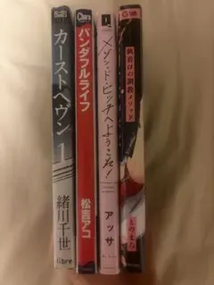 BL漫画まとめ売り4点セット