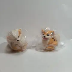 ポケモンキッズ　ガーディ進化③別売りできません