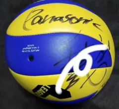 2025年最新】パナソニックパンサーズ サインの人気アイテム - メルカリ