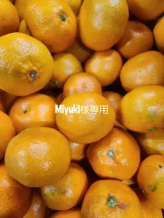 Miyuki様専用ページです