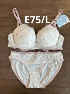 チュチュアンナ　トキメキブラ　自然な谷間　ホワイト　レース　ブラセット　E75L