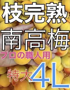 0605❄️クール便無料【枝完熟南高梅】4L3kg 梅干専用キルトパッチ梅店のサムネイル