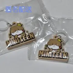 SEVENTEEN miniteen ガチャ めじるし ディノ　2個