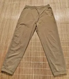 Item thumbnail for item 5fa2e3fc-a15b-4710-b432-a7336ea6ef7d