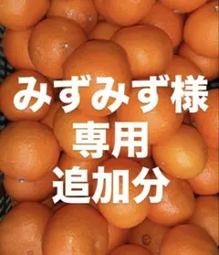 みずみず様　専用　追加分