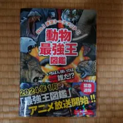 Item thumbnail for item 443b8c6f-c3c4-402d-8cc6-e25e89e3e954