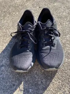 Item thumbnail for item e5adb9cd-8027-4dc1-8a66-5c164faadf24