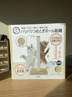 Item thumbnail for item 36742476-5295-4fc1-bfb7-f5a3fc6ee546