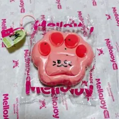 mellojoy 癒しの猫爪 スイカ 爪 メロジョイ スクイーズ
