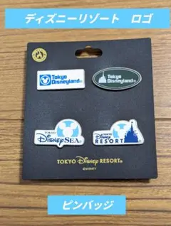 東京ディズニーリゾート ピンバッジ　【TDR】
