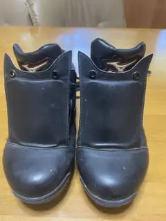 Item thumbnail for item 9ca54d34-d5da-4679-bb37-5c77a0e81d8b