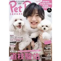 【新品未使用】道枝駿佑 ペットポップスクエア