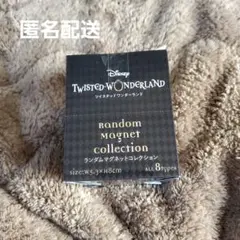 【ツイステッドワンダーランド】ランダムマグネットコレクション 8種類