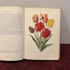 洋書 ボタニカルアート 60年代 アンティーク ビンテージ 植物図鑑 花