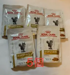 Item thumbnail for item a74ffd0c-3242-411e-81f4-8ad49d6652ee