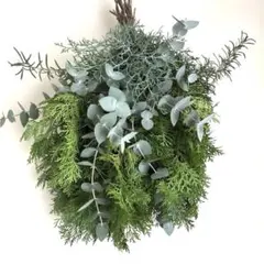 フレッシュ→ドライフラワー　グリーン　冬　スワッグ　50㎝　ボリュームたっぷり