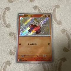 ホゲータ s sv4a 215/190