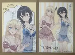 クラにか ドンキ コラボ 特典 非売品 イラストカード 朝凪海 天海 3枚