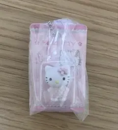 【売り切れ続出】ハローキティパッケージミニチュアコレクション　ガチャガチャ