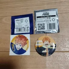 ハイキュー!! 日向翔陽 缶バッジ 2つセット