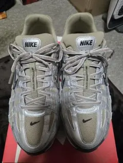 NIKE ナイキ P-6000