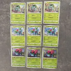 フシギダネ　フシギソウ　フシギバナ　進化ライン　まとめ売り