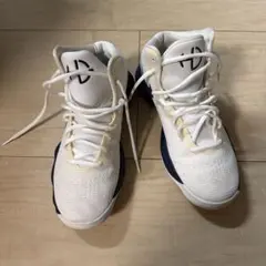 Item thumbnail for item fc749236-78c7-4dc5-ba36-575206433979