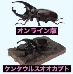 【オンライン版】いきもの大図鑑　かぶとむし１１　ケンタウルスオオカブト　単品のサムネイル