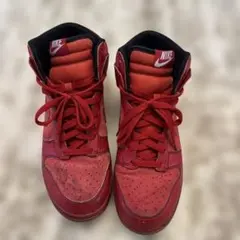 Nike レッド ハイカットスニーカー