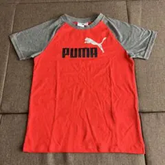 PUMA 赤 グレー Tシャツ S 7/8(140cm)