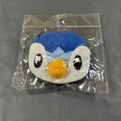 ポケモン　ポケットモンスター　ポッチャマ　フェイスポーチ　未開封　未使用