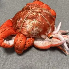 カニデザイン ぬいぐるみ
