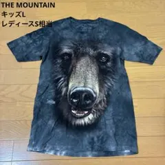 THE MOUNTAIN 熊 Tシャツ L タイダイ アニマル ビッグフェイスのサムネイル