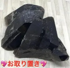 極めてレア ナラオイア（Naraoia spinosa）カンブリア爆発 - メルカリ