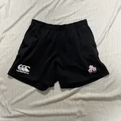 Item thumbnail for item 39276641-58e5-4727-810d-b2a1c519902a