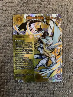 沈黙の守護者、シュタイン　シークレット