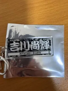 読売ジャイアンツ　吉川尚輝