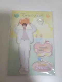 ドギョム　アクスタ　SEVENTEEN