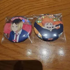 ハイキュー/まねきねこ/缶バッジ/ホログラム/孤爪研磨/日向翔陽/コラボ