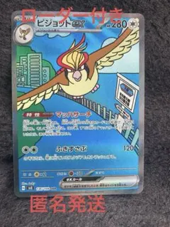 2026年最新】ピジョットeX sar psa10の人気アイテム - メルカリ