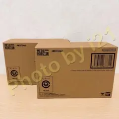 METAL ROBOT魂 ストライクフリーダムガンダム弐式 初音ミク Ver